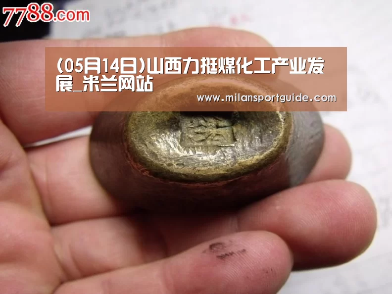 (05月14日)山西力挺煤化工产业发展_米兰网站(图1) 米兰入口