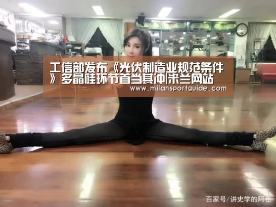 工信部发布《光伏制造业规范条件》多晶硅环节首当其冲|米兰网站(图2) 米兰赛事